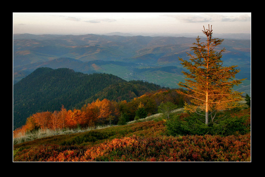 Carpathians | Landscape photos