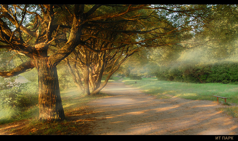 Foggy morning iii | Landscape photos