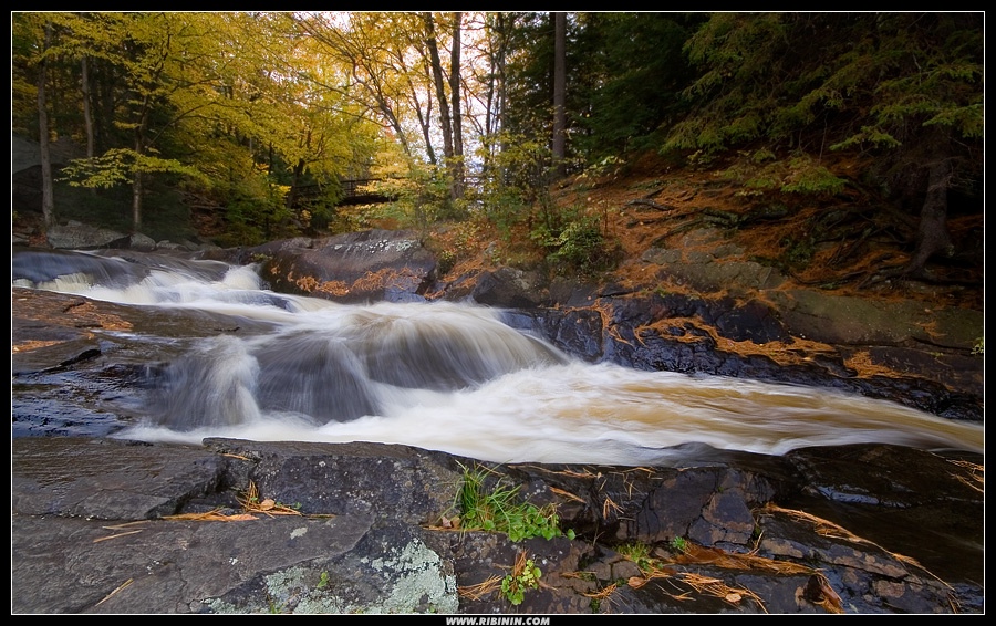 Water under the bridge | Landscape photos