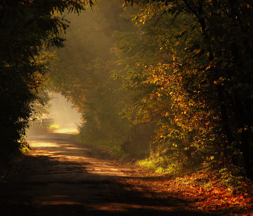 Faraway road | Landscape photos