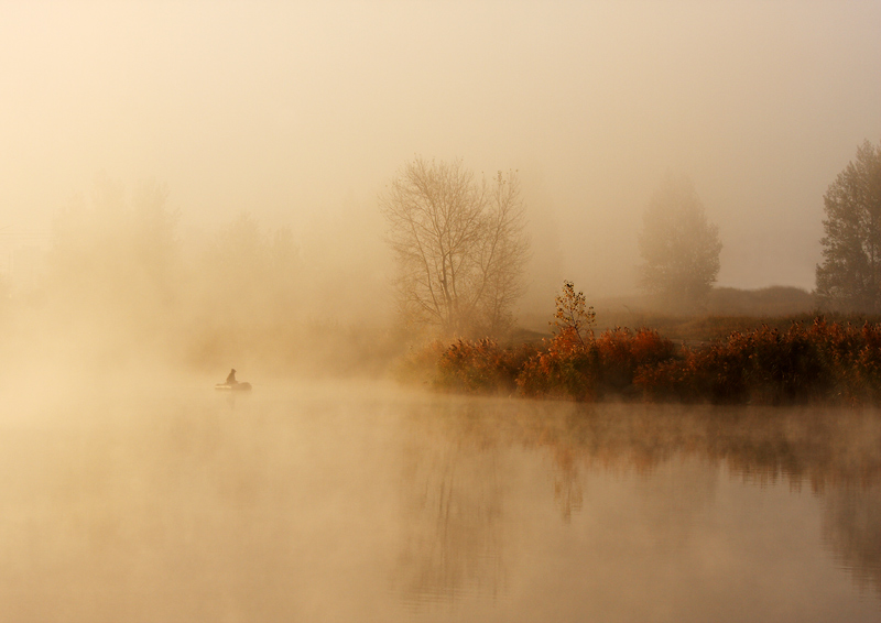 Quiet hunt | Landscape photos