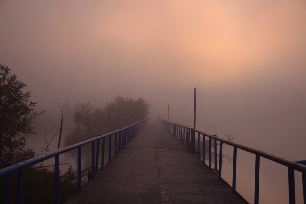 Through the fog | Landscape photos